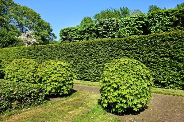 Espaces verts